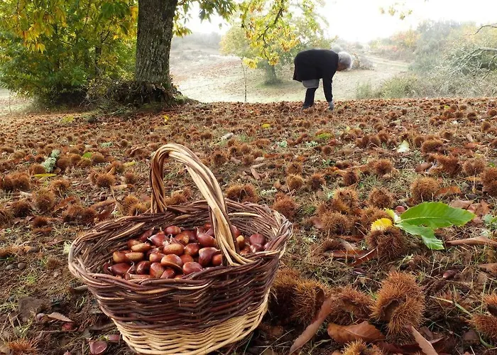 Otel Agua Terra Fria 4*