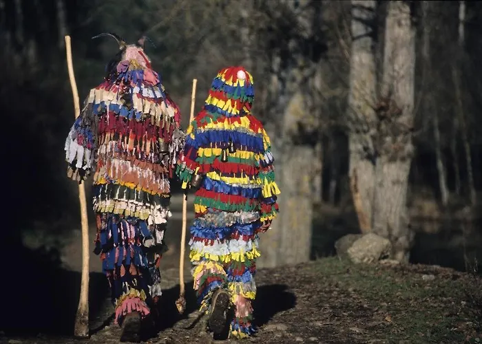 Otel Agua Terra Fria Bragança