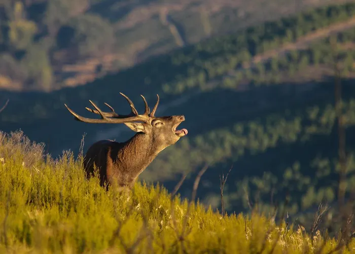 Agua Terra Fria Otel Bragança